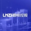 浙江霖梓控股