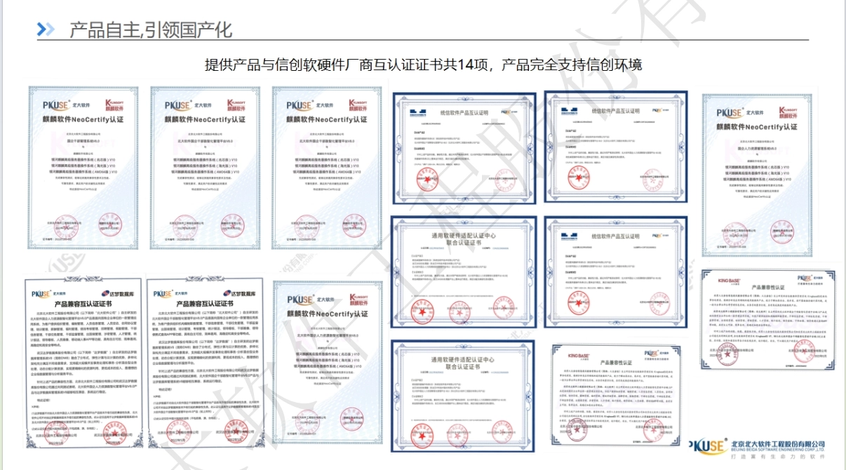 央国企人力资源系统-公司介绍1