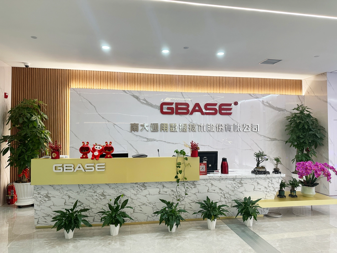 GBase 8s-公司介绍1