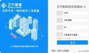 卫宁HIS-产品详情1