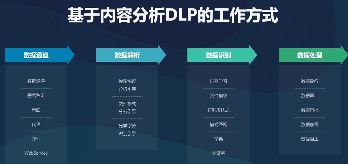 DLP1
