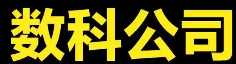 国央企数科公司从繁华到落寞