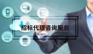 招投标论证/代理/监理