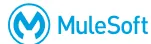 Mule EDI