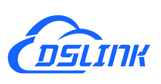 DsLink
