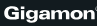 Gigamon